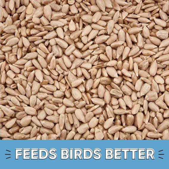 Happy Beaks - Sunflower Hearts